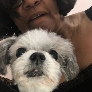 Meet your Posher, Denise